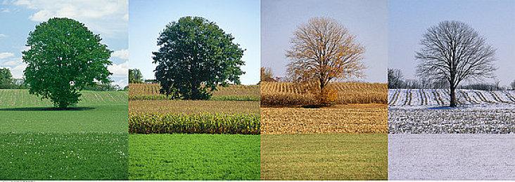 任天堂发布《宝可梦：晶灿钻石＆明亮珍珠》真人宣传片