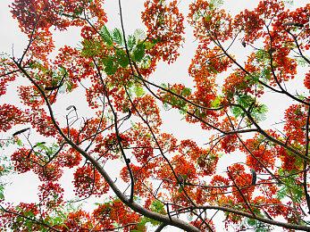 Steam喜加一：《崛起力量: 添命人》免费领取